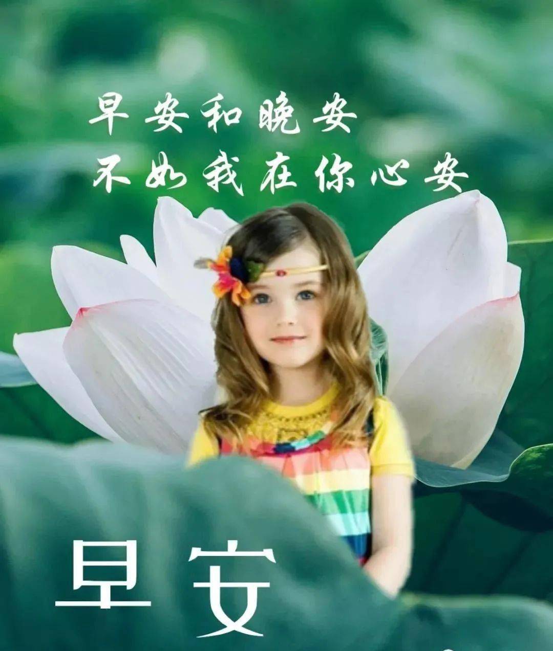 早安宝贝 来自搜狐网