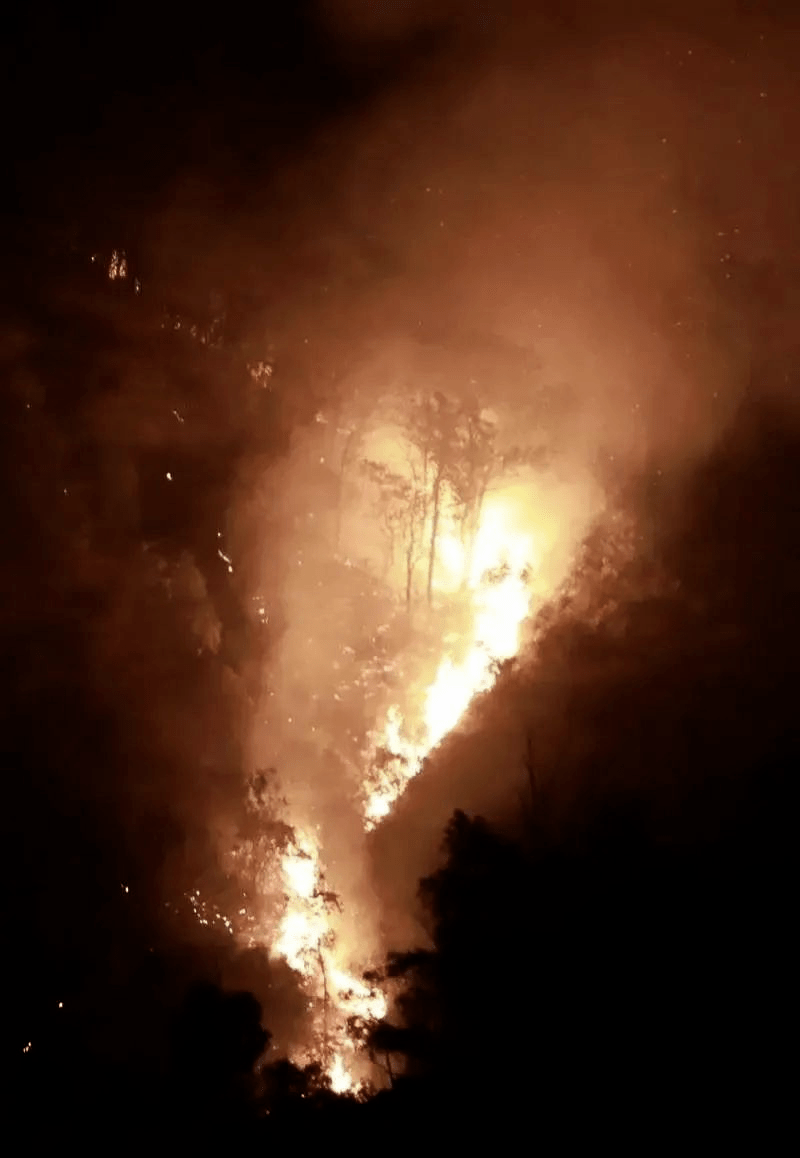 着火地为大南山深晚记者从深圳消防了解到现场火势较大黝黑的山体火光