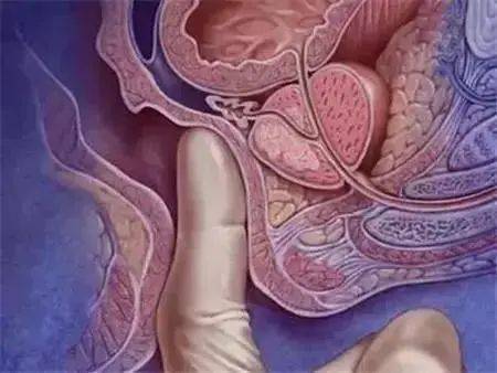 北京大兴病例所在学校全员做肛拭子神奇的知识增加了