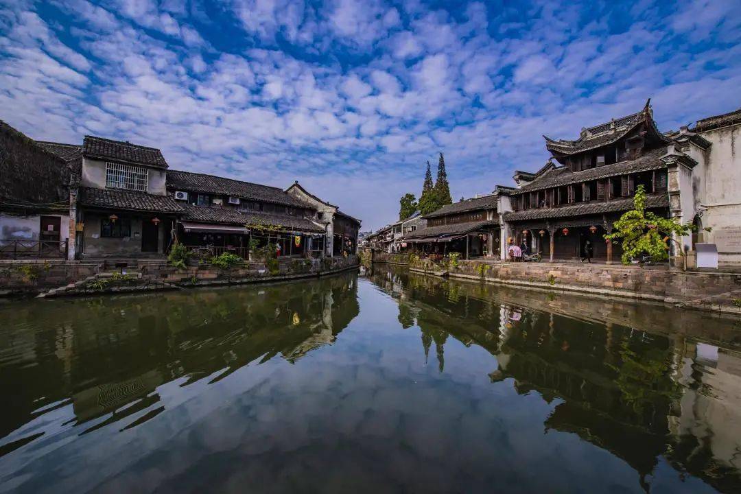 新市镇经开区一周要闻疫情防控不松懈招商引资不停步