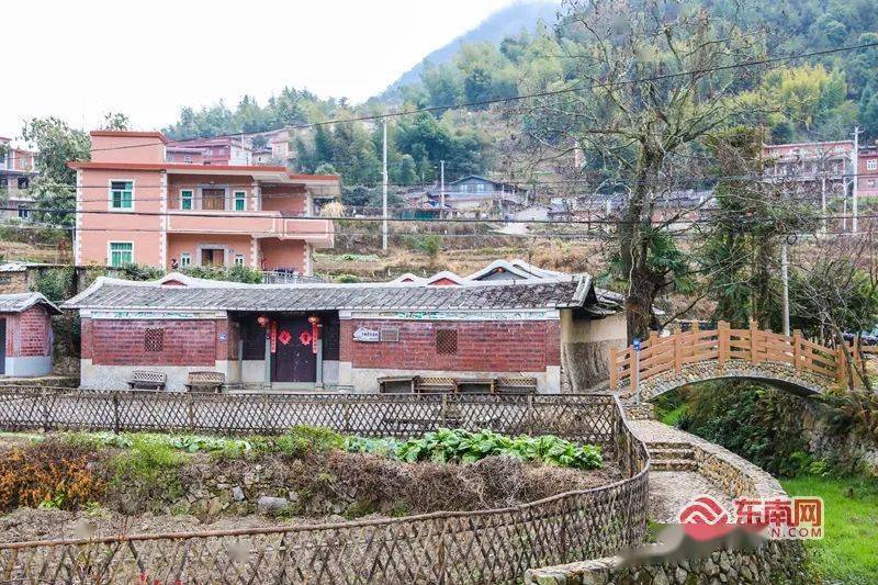 金秋,是永春县仙夹镇夹际村最好的时节,杏黄稻香,硕果累累.