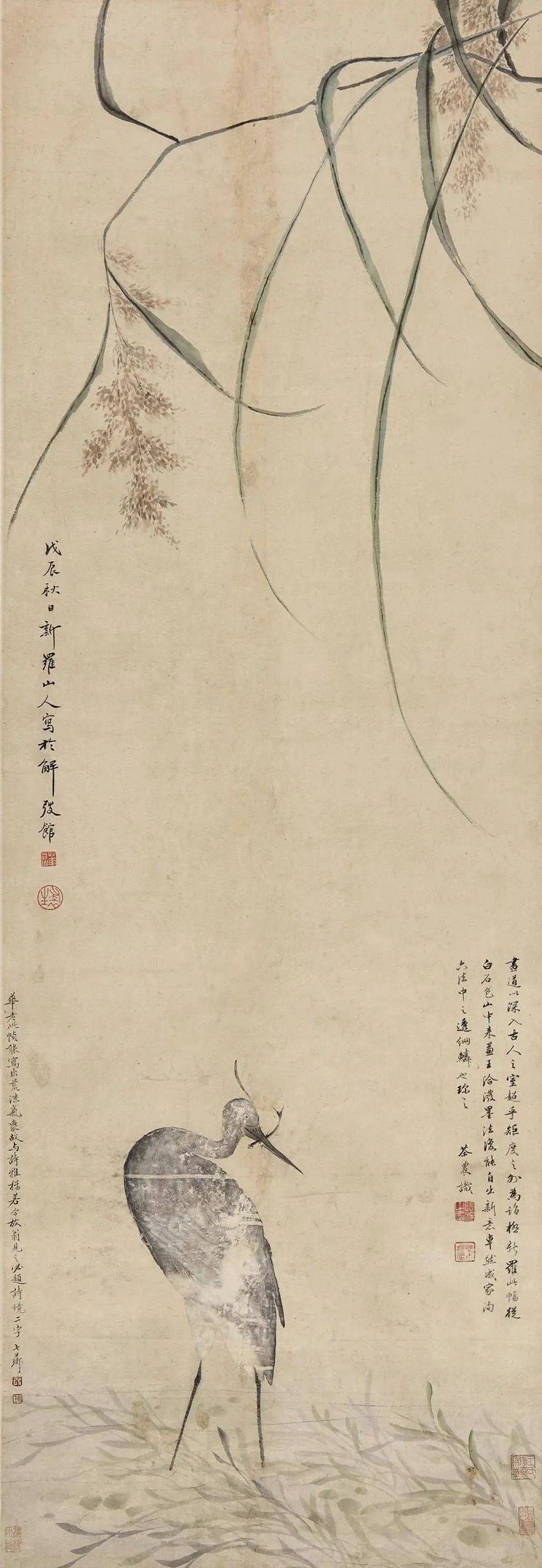 67清代画家华岩画花鸟一绝