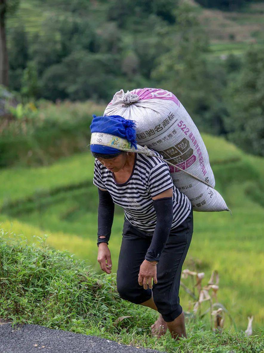 看见|人类纪时代的哈尼族影像
