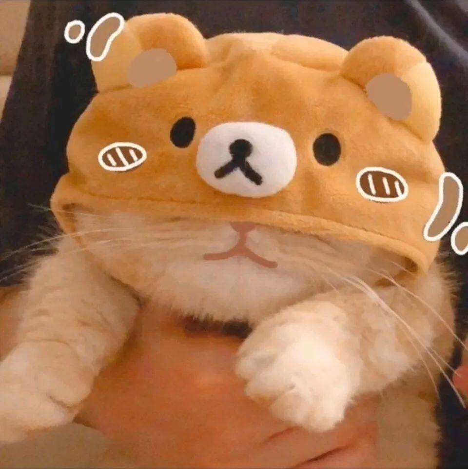 收割招财萌猫头像,好运气+100000000000_喵君 收割招财萌猫头像,好运气+100000000000_喵君