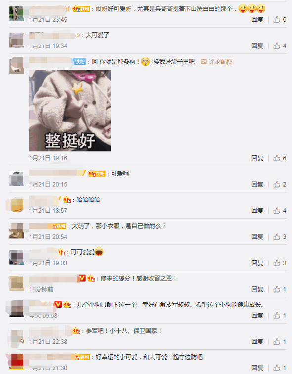 冰天雪地里有個小傢伙在瑟瑟發抖，走近一看原來是…… 萌趣萌寵 第10张