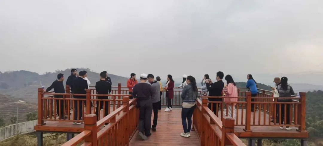 共谋发展,融合发展,百色市文化旅游协会赴凤鼎天下景区考察交流
