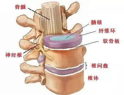 之间都有弹性减震装置