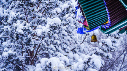 唯美！当乌鲁木齐的大雪遇上古风建筑