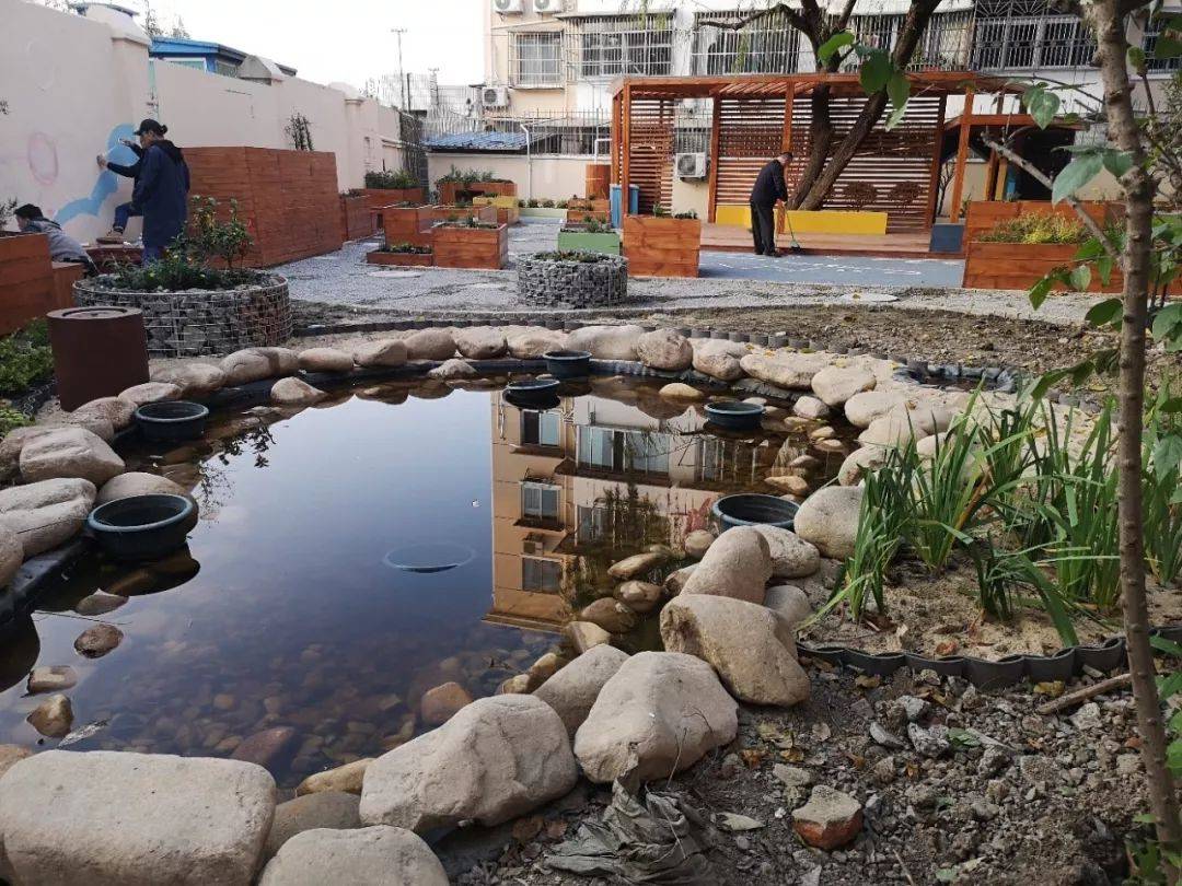 【提示】保护生物多样性,长宁区将试点建设7座"生境花园"