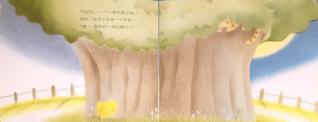 金宝晚安故事丨晚安小鸡球球生活中的小美好