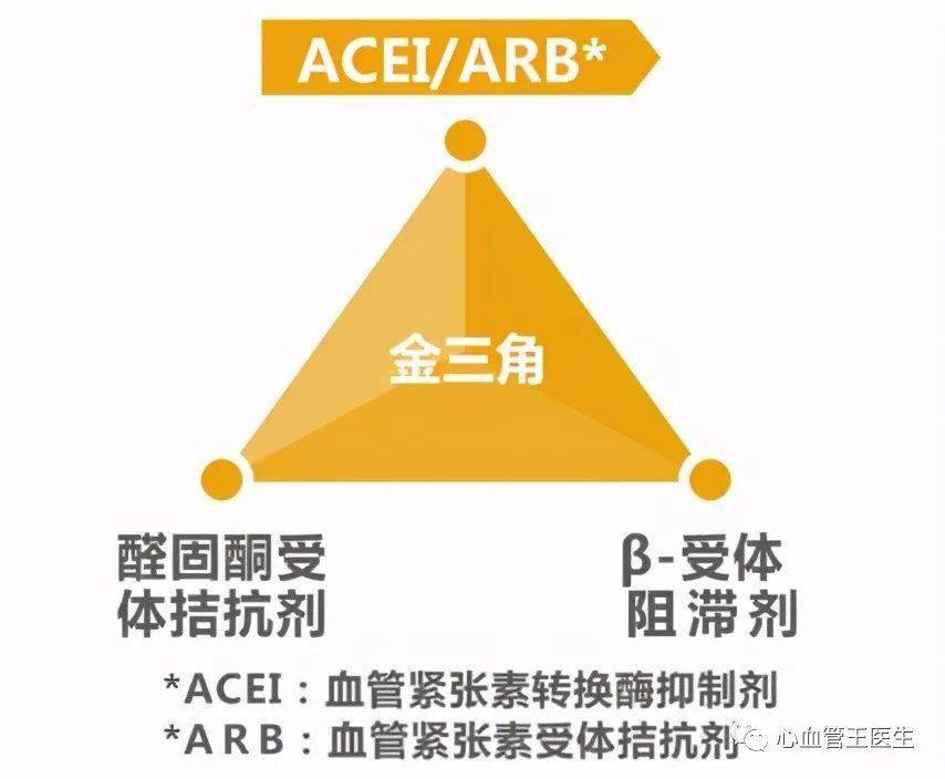 長期以來,心衰的藥物治療,仍是停留在β受體阻滯劑,acei,醛固酮受體