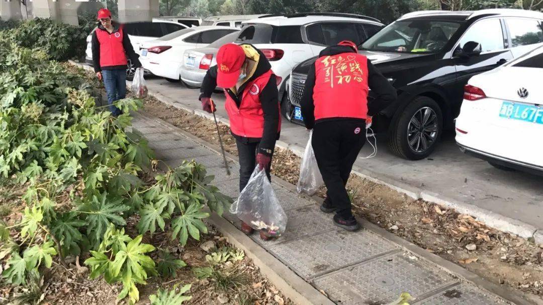 绿色行动你我他