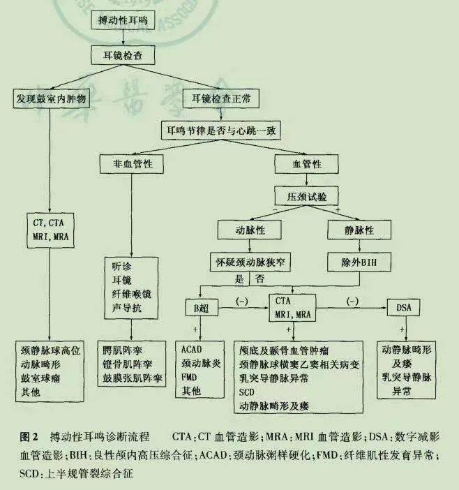 左耳听到心跳声怎么办