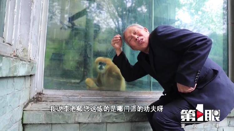 习武四十年,他的师父却是一群动物……_李永寿