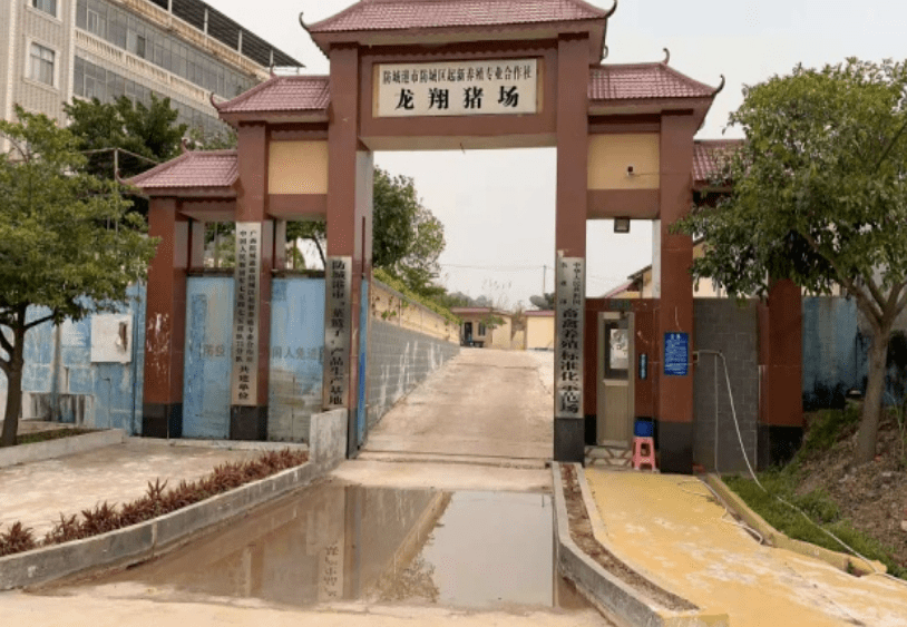 十佳标杆示范场广西龙翔猪场疫苗疾病防非三手齐抓激发生产活力