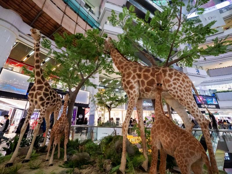 在商场逛动物园是一种什么体验