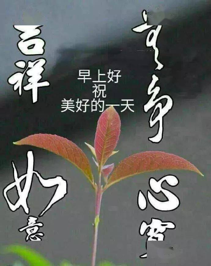 a28845eb0f854b038c3718121eb4f969.jpeg