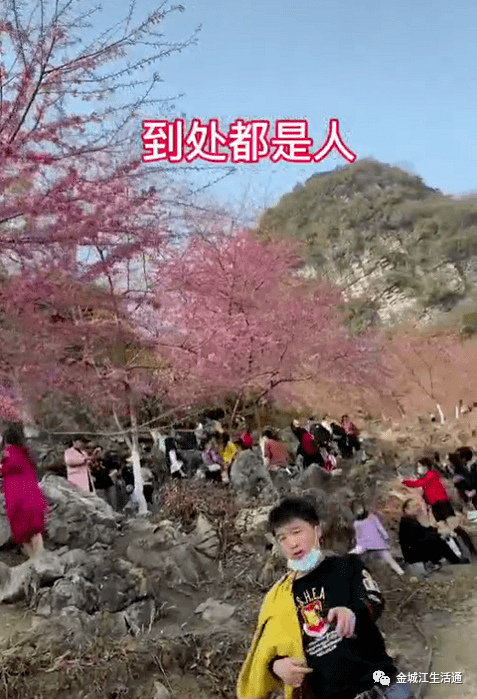 金城江有多少人口_金城江公园