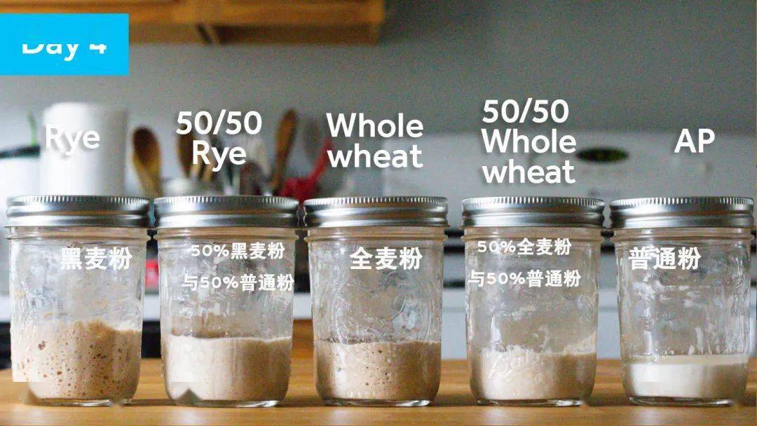 267373e233cc401b8ed461ed8c29a6b0.jpeg