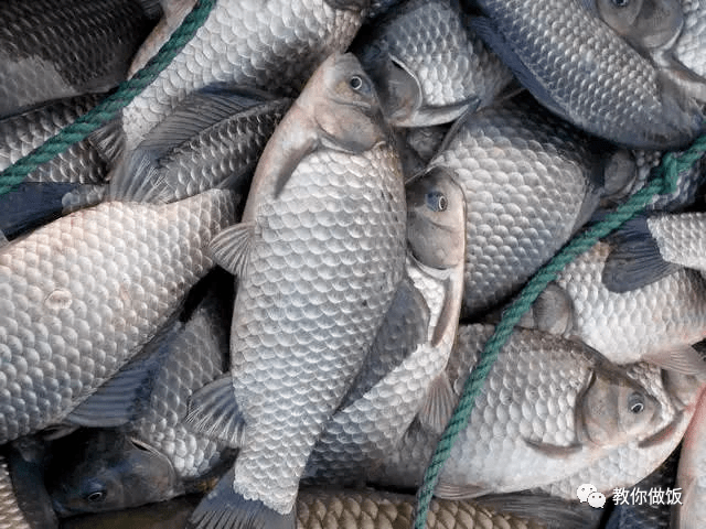 去磷去内脏,清洗干净打一字刀备用,新鲜羊排500克,洗净用砍刀斩成小块