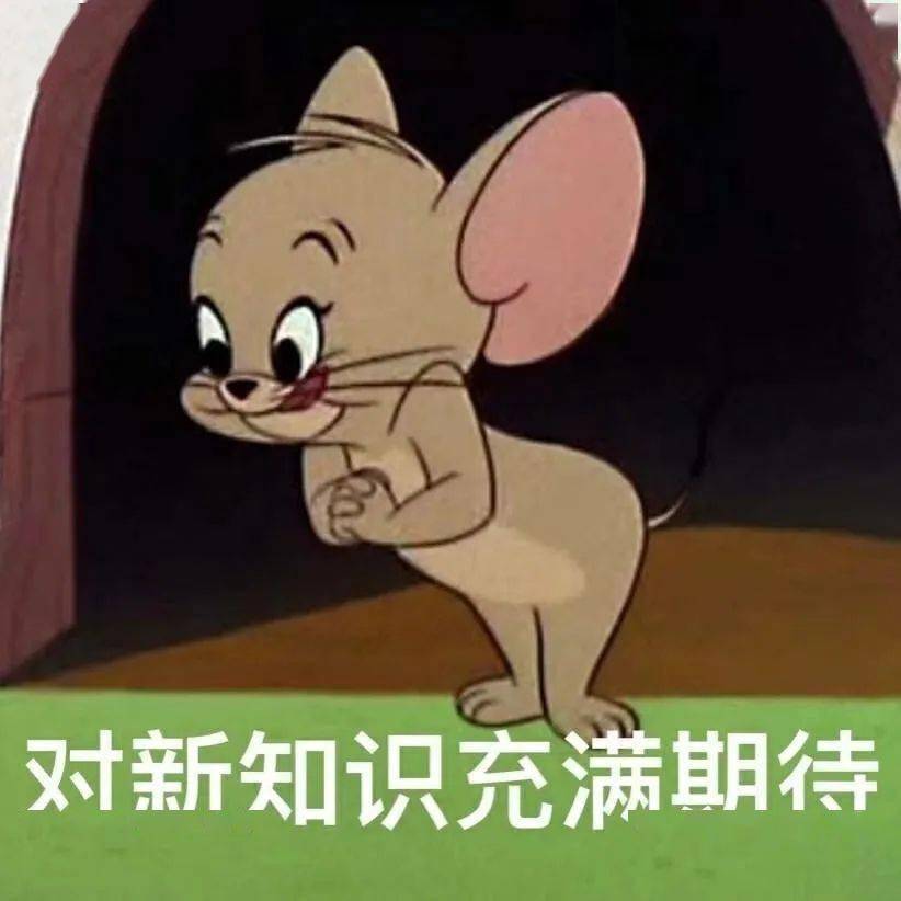 616218173bd44326b7627889479050d6.jpeg
