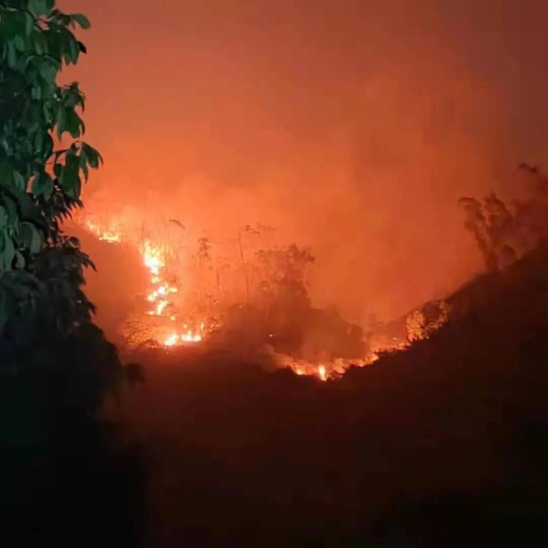 大火伴随浓烟不断燃烧起火位置在一处山体上大南山发生山火广东省深圳