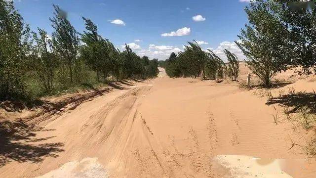 真正的热搜被掩盖敦煌万亩防护林不翼而飞人民日报震怒