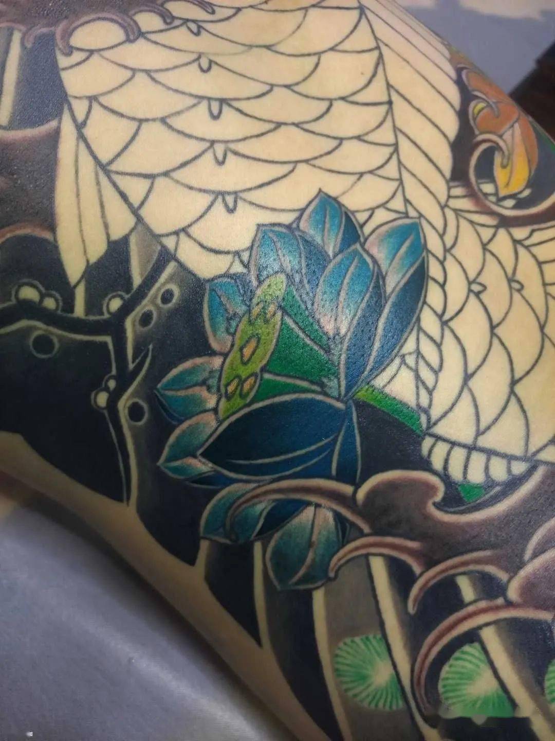 南宁云鹤郑作2020作品集