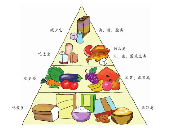 公司提醒员工饮食健康和作息时间通知怎么写的简单介绍-第2张图片-鲸幼网