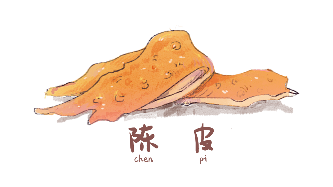 这个陈皮,我们说陈皮药性是温的,有理气化痰的作用,有开肺气的作用.