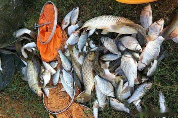 冬季吃铅2.94克大漂怎么调漂