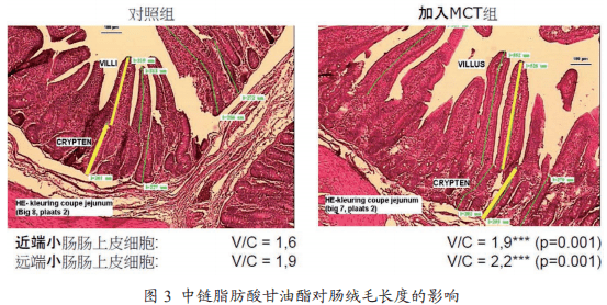 国药动保推荐阅读主题策划中链脂肪酸甘油酯在饲料无抗中的应用展望