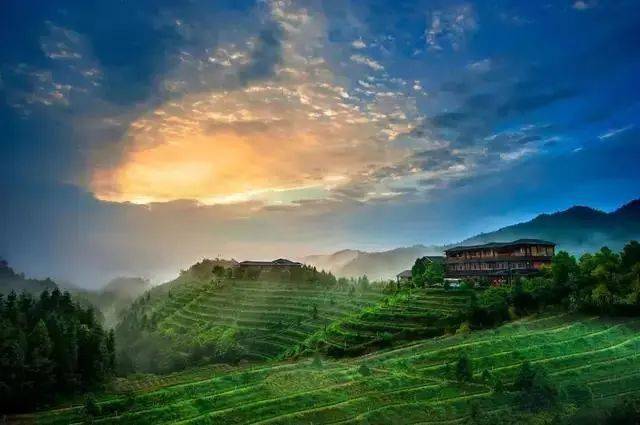 福建茶叶品牌排行榜_福建武夷山26家“上榜”茶企承诺不卖“天价茶”