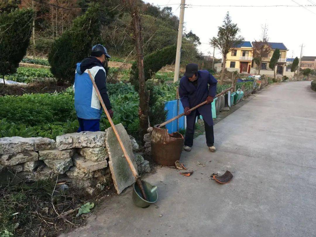 岱东镇人口_东岱镇洪塘镇实景