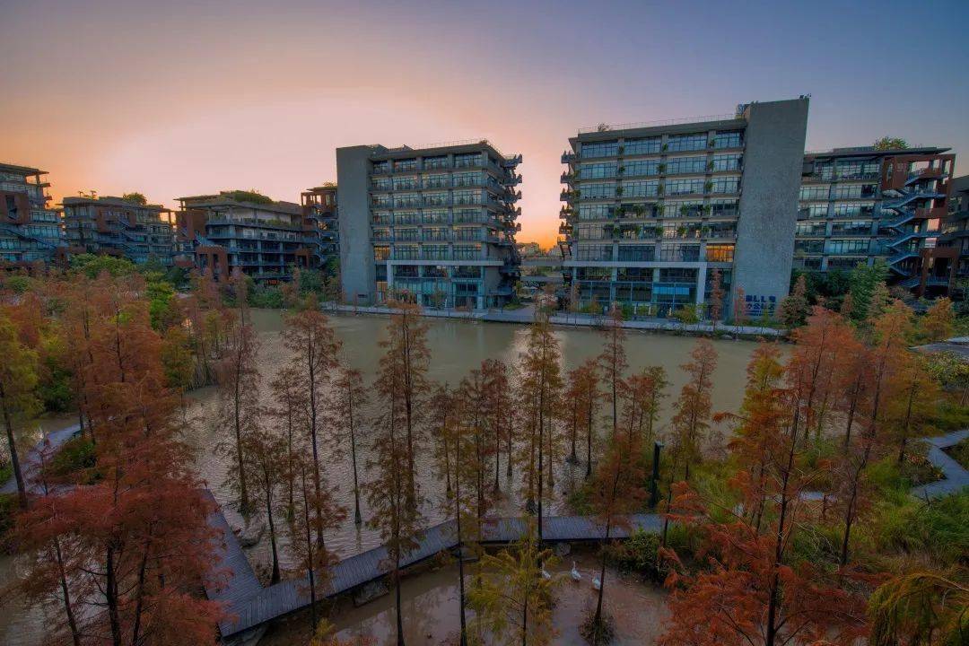 泰华梧桐酒店 | 春节留深,特惠安心住!