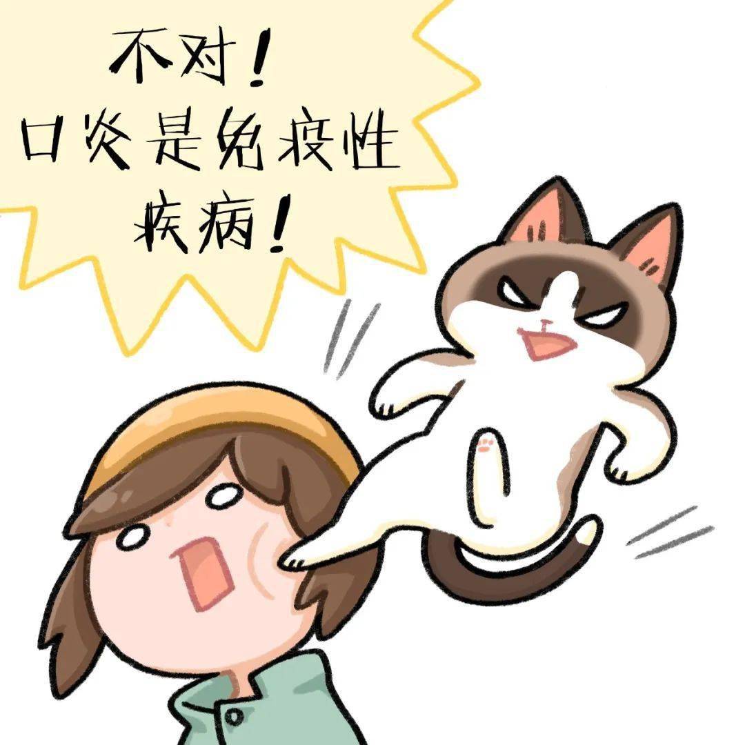漫谈猫口炎 看完 包懂 上集 治疗