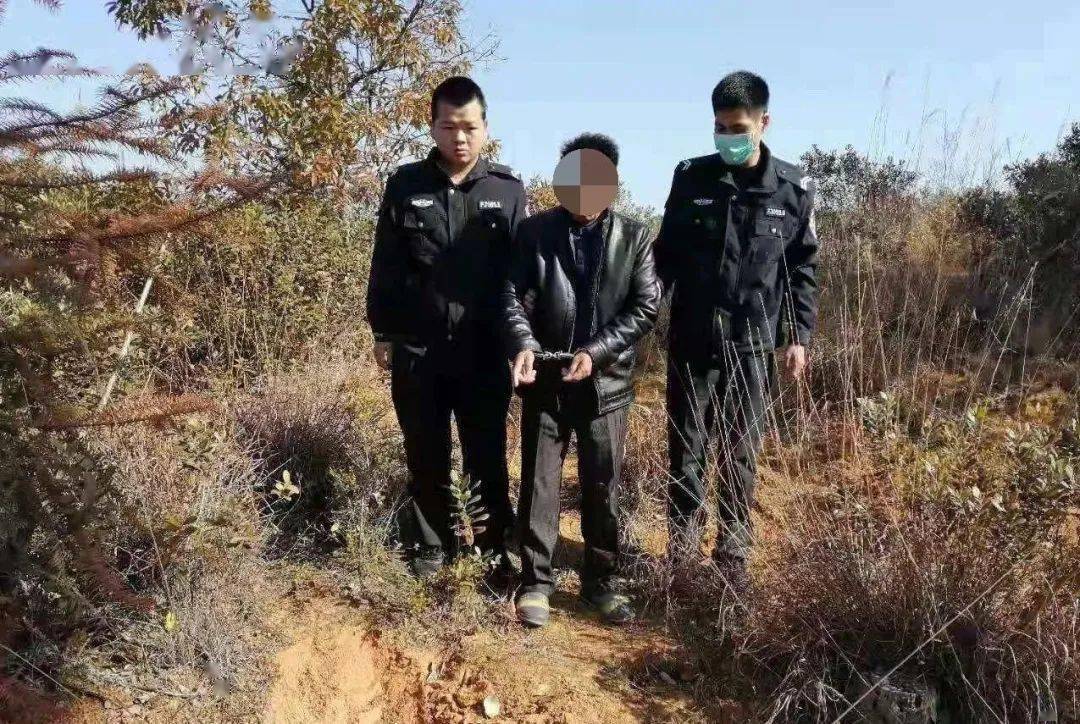 龙川公安连续破获多起盗窃诈骗案