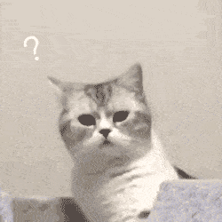 1f6e1c13b1ff4cbfb6ef191872ef7d3d.gif