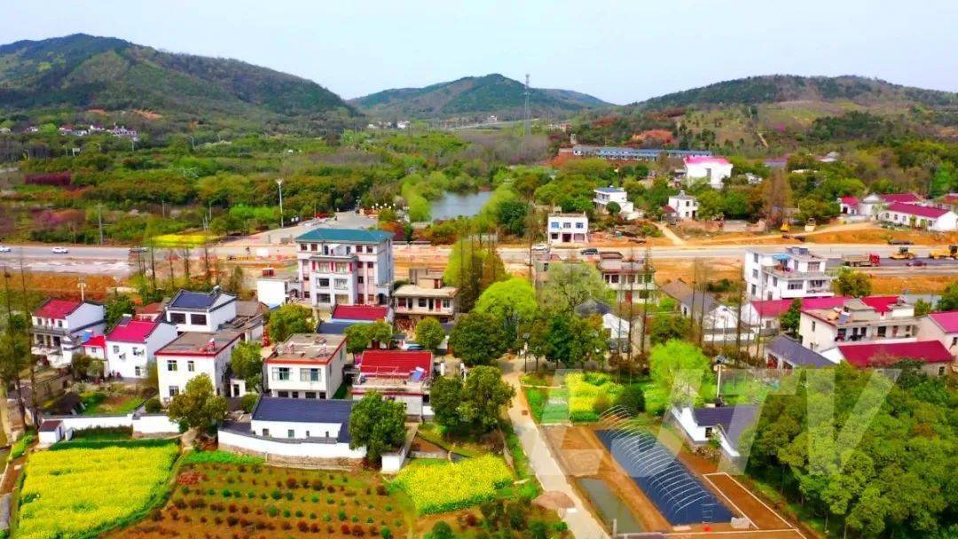 【融入大合肥 对接沪苏浙】冶父山镇:对标先进找差距 锚定目标奋力赶