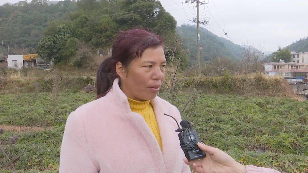 禄丰县一平浪镇杞栽村委会是禄丰县政协脱贫攻坚的挂包村,几年前,这里