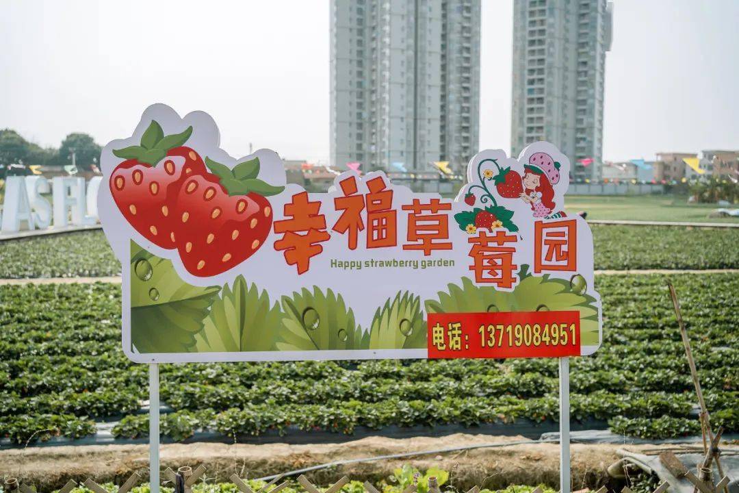 实用信息:位置:万顷园艺世界对面的幸福草莓园草莓园占地10亩,有牛奶