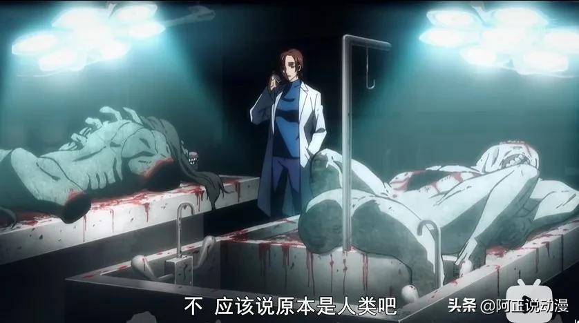 这部动画换个op就能冲上贴吧热搜榜