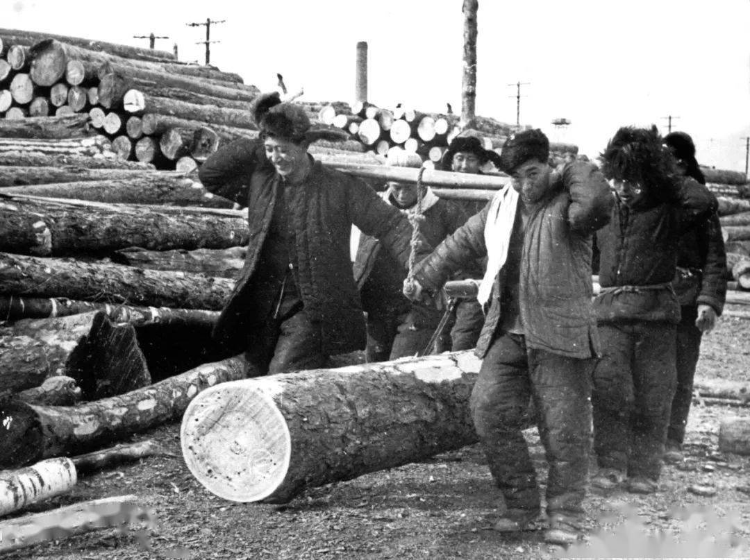 林区往事伐木