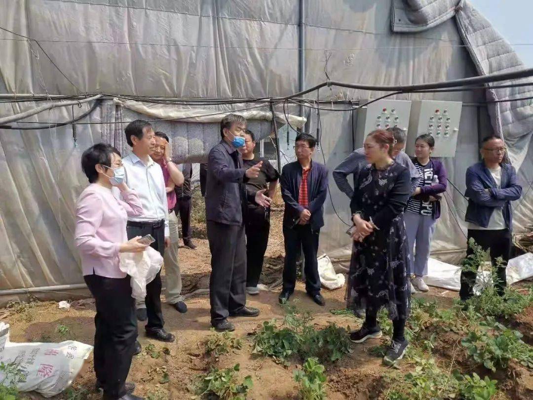 鹿忠勤美丽西王展新姿乡村振兴起宏图济南教育脱贫攻坚