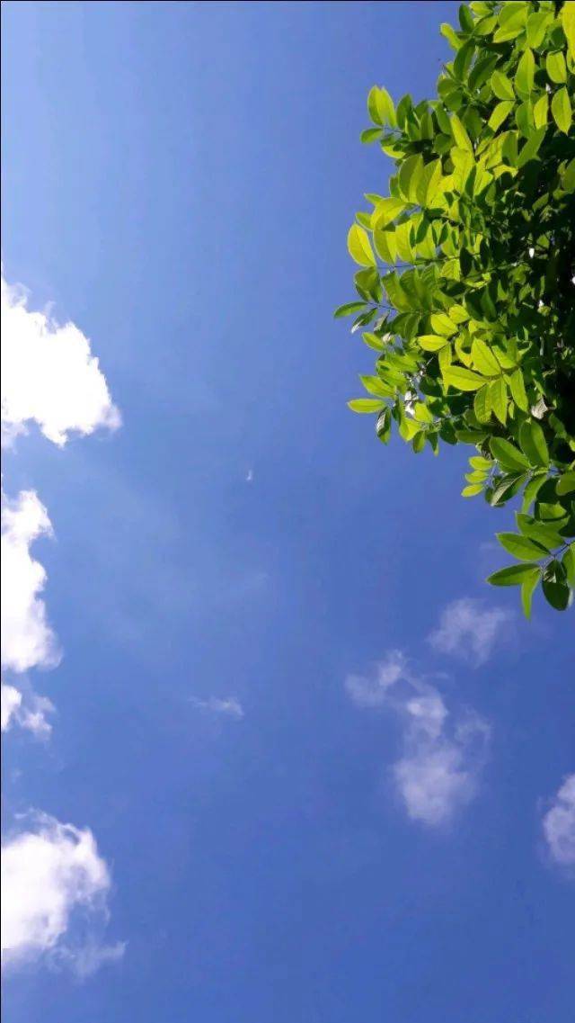 阳光满满的励志句子送给风雨兼程的我们