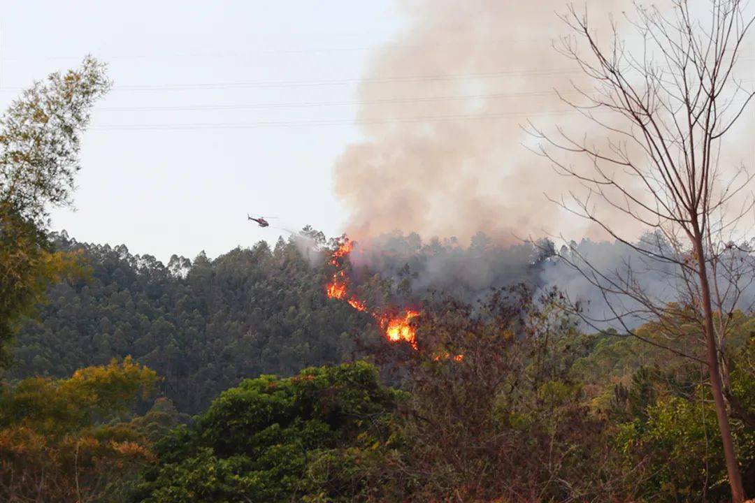 大埔男子电焊作业引火灾 当晚被抓 各乡镇