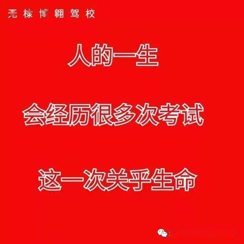 驾校教练员招聘_【内乡教育培训|内乡教育培训信息|内乡教育培训大全】-内乡在线(4)