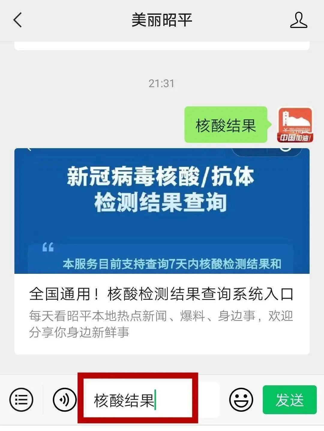 在"美丽昭平"微信公众号对话框输入 核酸结果,点击"发送"进入帛询