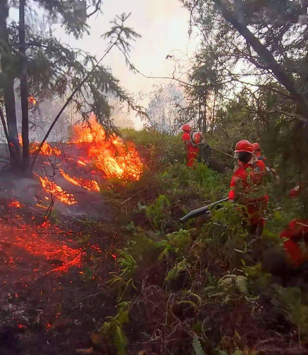 大埔男子电焊作业引火灾 当晚被抓 各乡镇