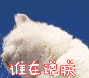 喵星人给你发来了一波表情包